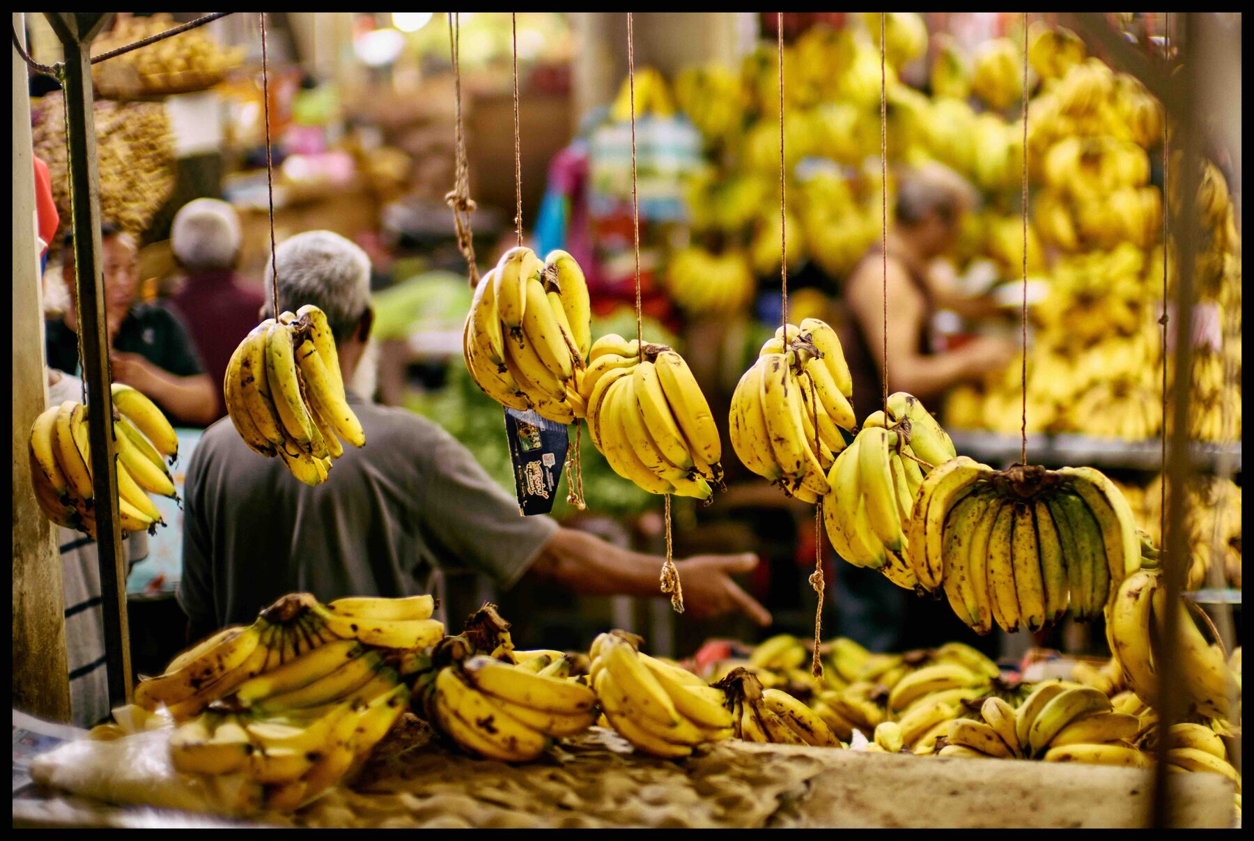 Mauritius – Bananenstand auf dem Markt